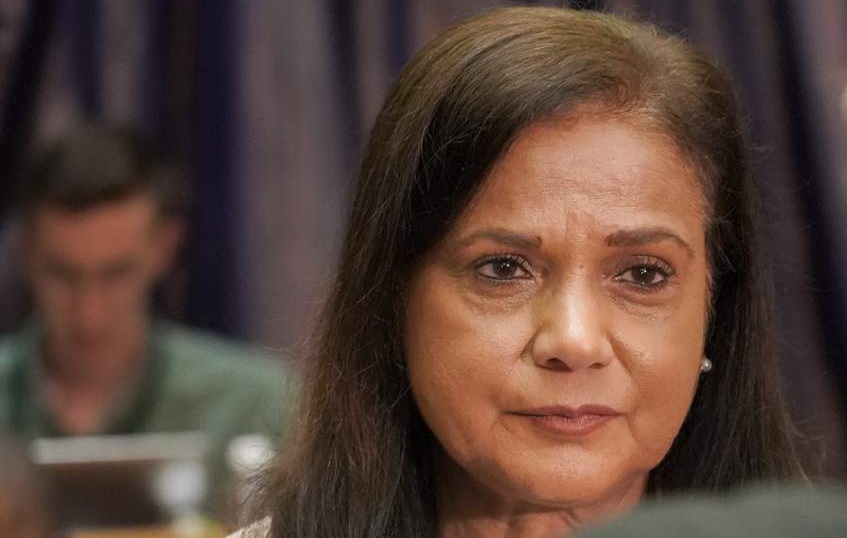 Picture of Shamila Batohi